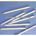 steel concrete nail with high quality